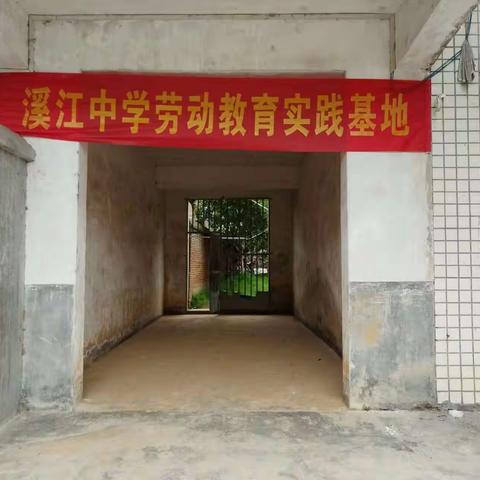 劳动知不易，实践懂感恩——溪江中学劳动实践基地建设