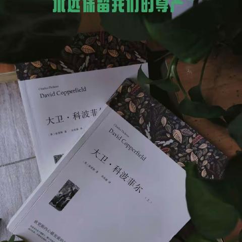 长春市第一中学高二五班《大卫科波菲尔》读书报告会纪实