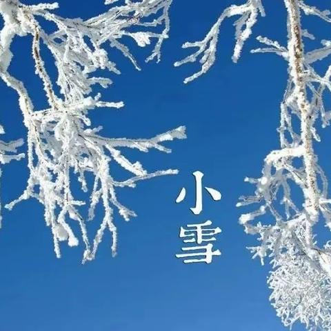 轻盈小雪至， 童心暖寒冬——城关二小2023年11月第四周实践作业风采展