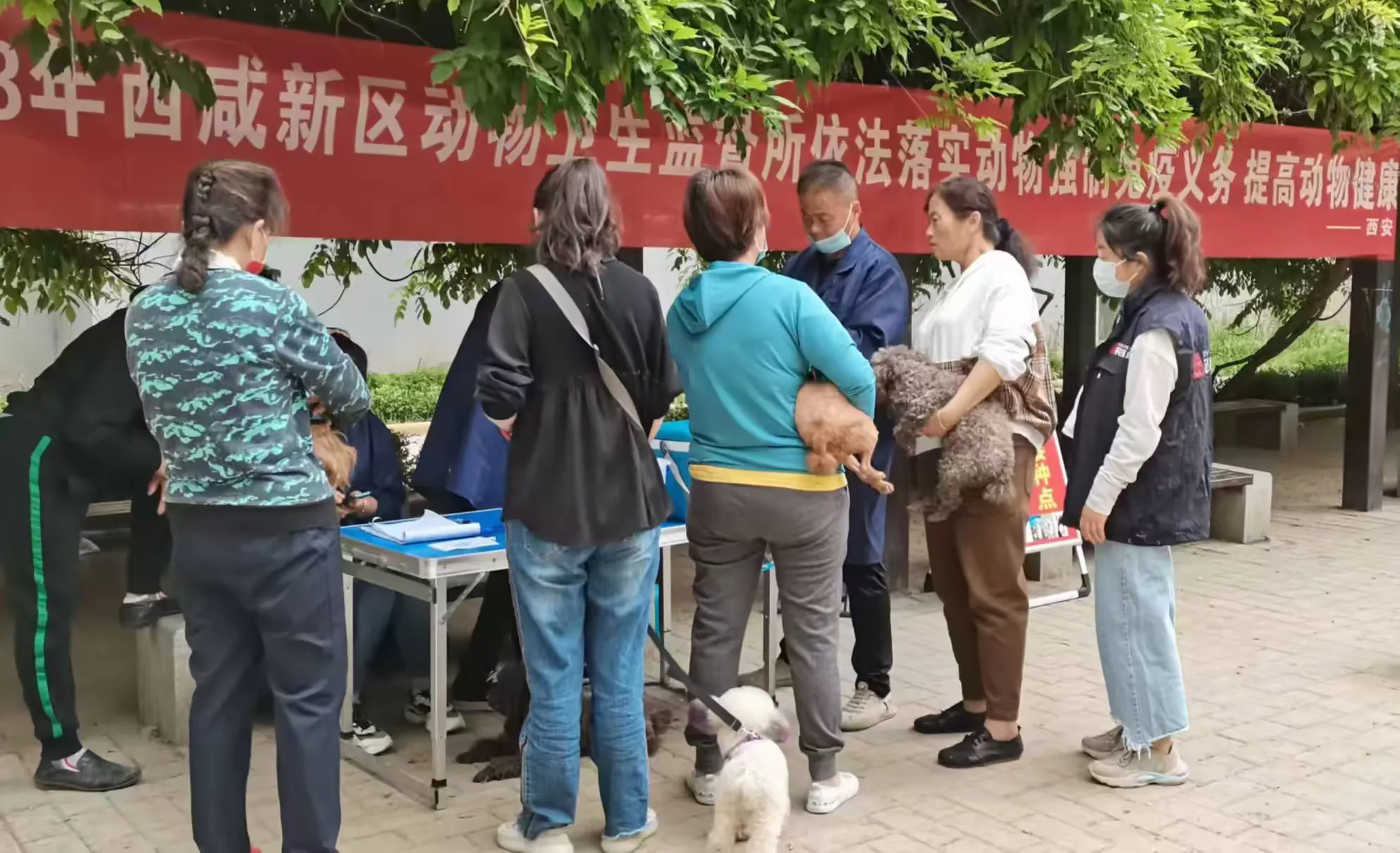 简篇-文明养宠“不掉链”,网格员做群众身边指导员