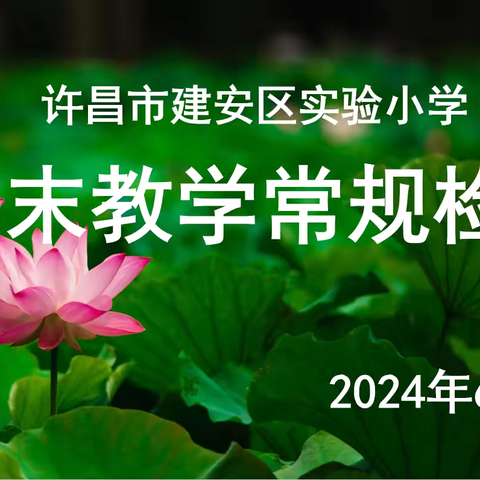 夯实教学常规  推进教学提质—建安区实验小学期末教学常规检查