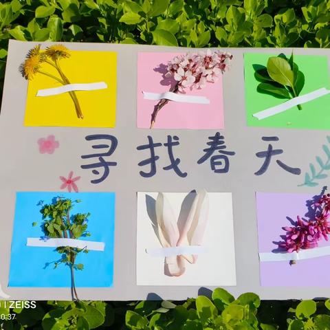 🌸寻找春天🌸——雍福幼儿园小五班寻找春天的足迹🌱