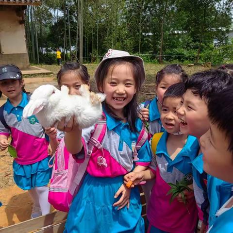 寓教于乐，田园旅行---博才阳光实验小学一年级2023年春季研学活动