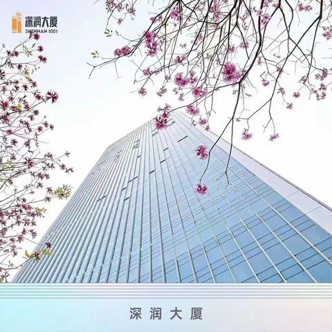 深润大厦 单价28000元起 约130-2500平 附售顶部五层总部带空中花园
