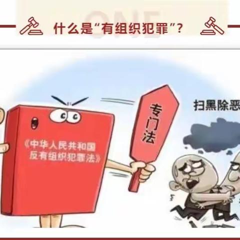 《反有组织犯罪法》应知应会