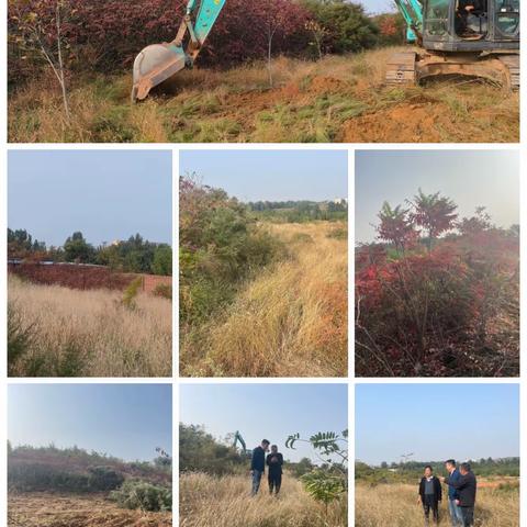 工程村一周工作总结10.16-10.22