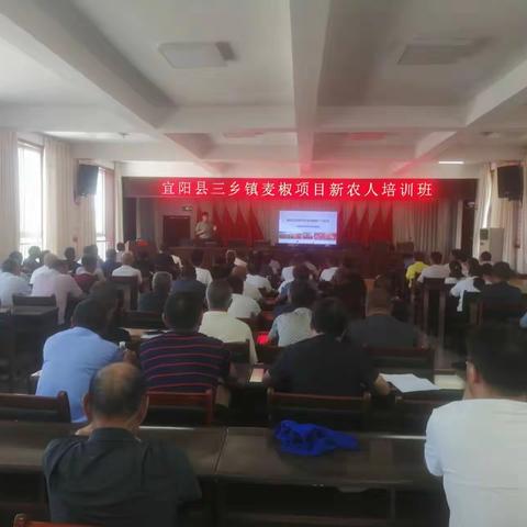 【汉唐驿城 古镇三乡】🇨🇳🇨🇳🇨🇳三乡镇举办麦椒项目新农人培训班