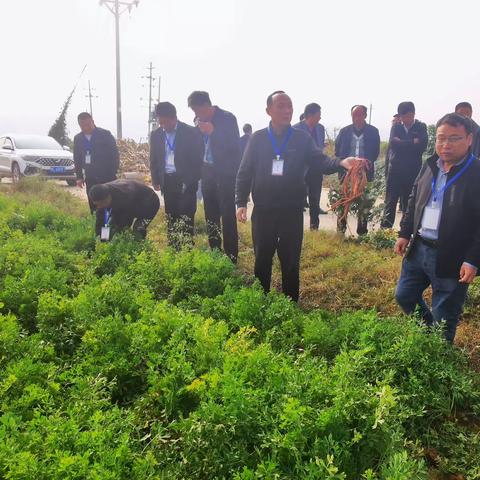 【汉唐驿城 古镇三乡】🇨🇳🇨🇳🇨🇳三乡镇组织人大代表视察调研土地流转工作