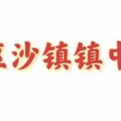 【东昌府区沙镇镇中心学校】道阻且长，行则将至——东昌府区沙镇镇中心学校教学活动纪实（三）