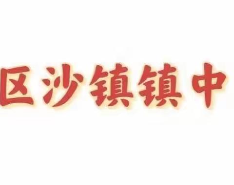 披荆斩棘凝合力，携手同行待花开 ——东昌府区沙镇镇中心学校教学活动纪实（十二）