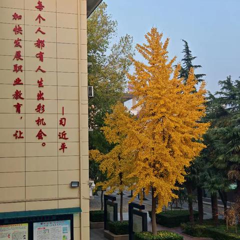 家校共育 心理健康科普：警惕秋冬“情绪降温”：青少年季节性心理变化与家长干预要点