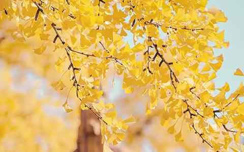 阳光实践，快乐成长