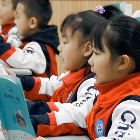 青葵初绽 雅韵启航