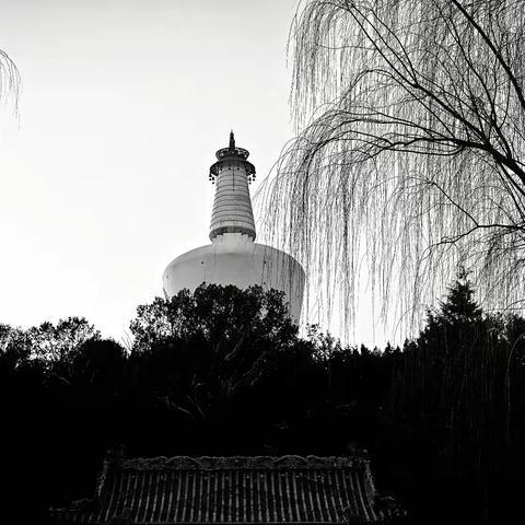 上年冬月北京景山、北海公园掠影