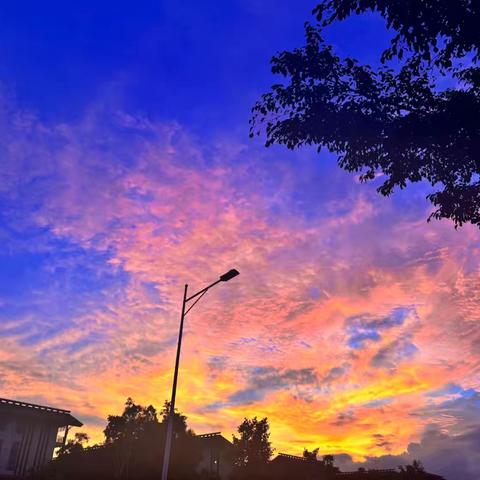 放飞梦想，收获希望——记23级高二政治组第17周教研活动