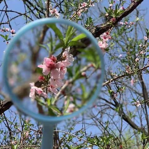 给生活以色彩！盐湖区五洲观澜小学一年级美术社团3班