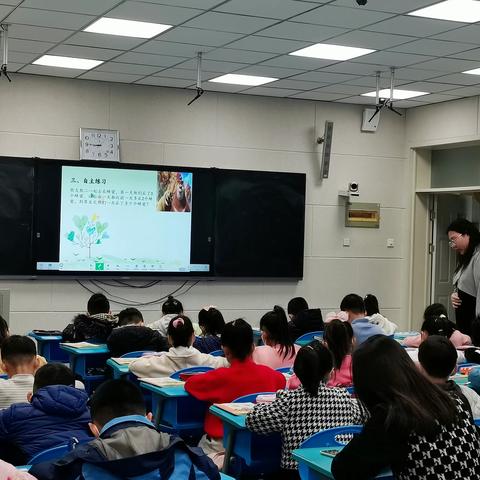 研之不倦，行之以“专”——莱山区小学数学张淑芬工作室关于数学课堂专注力提升研讨活动