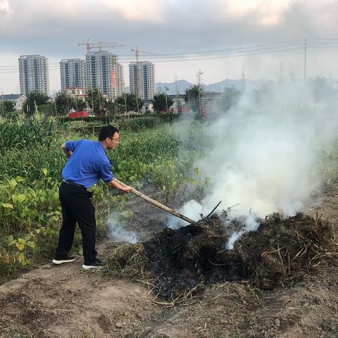 【六石中队】高压线下烧秸秆，任性惹“火”危害多