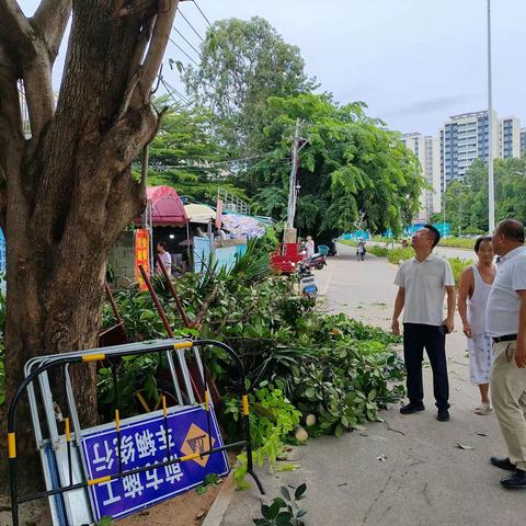 吉阳区副区长、市公安局吉阳分局局长何健胜到南丁村检查指导防台防汛工作