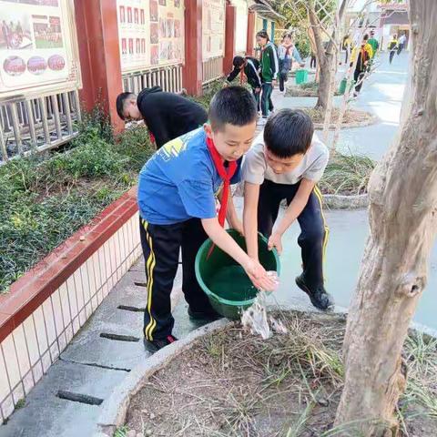 让劳动植根心田——赤水市元厚小学劳动教育实践活动