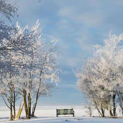 瑞雪温情 爱满校园