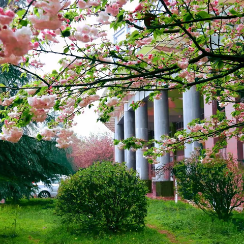 研思践悟蕴芬芳 灵动课堂谱华章 ——唐山市税东中学“讲－评－学”系列公开课观摩交流活动