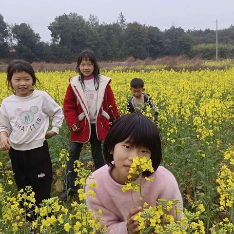 悠悠野菜香，青青清明果