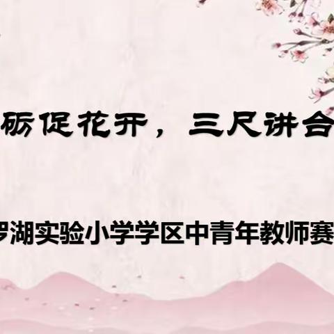 赛课磨砺促花开，三尺讲台展风采 ——记西林县罗湖实验小学学区2023年中青年教师赛课活动