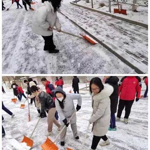 扫雪除冰师生暖  天寒地冻党旗飘——记生物地理教研组党支部扫雪活动