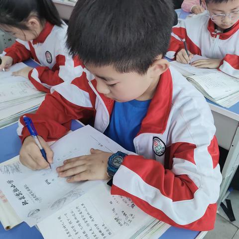 【宁静】【关爱学生幸福成长】实验小学四年级硬笔书法优秀作品展