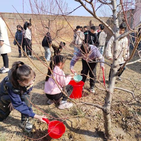 拥抱春天，播种希望 ——任城镇第一实验小学植树节活动