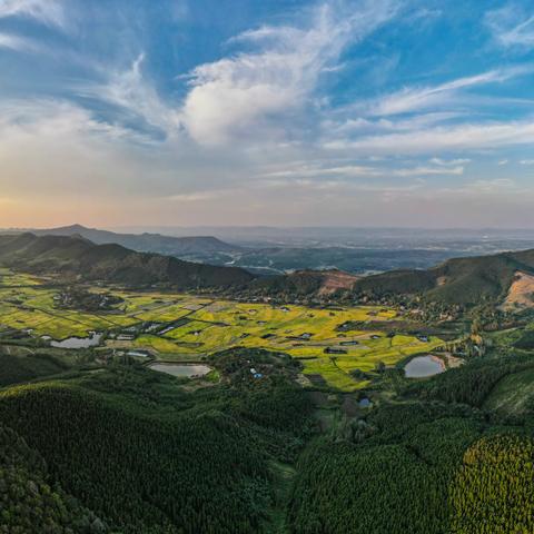 画册《京山林业》草稿预览