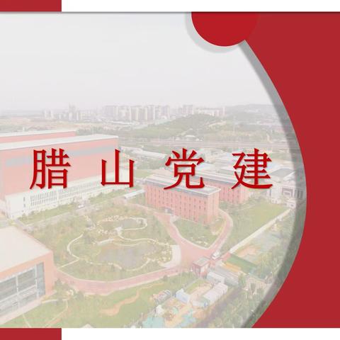 【腊山党建】第五十期
