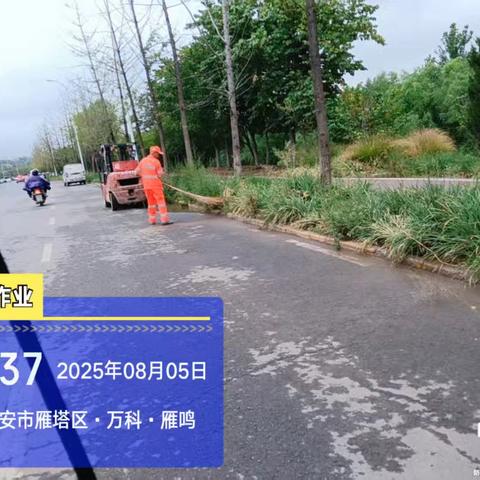 浐灞项目部2025年8月5日工作汇报：