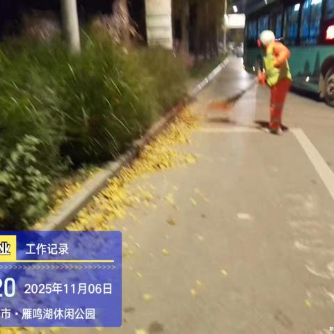 浐灞项目部2025年11月6日工作汇报：