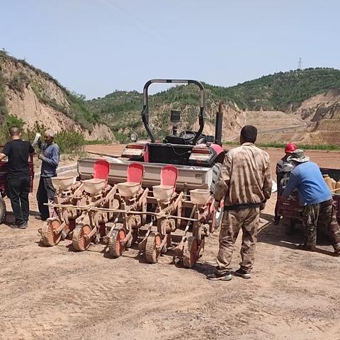 夏耕夏播正当时 田间地头抢种忙