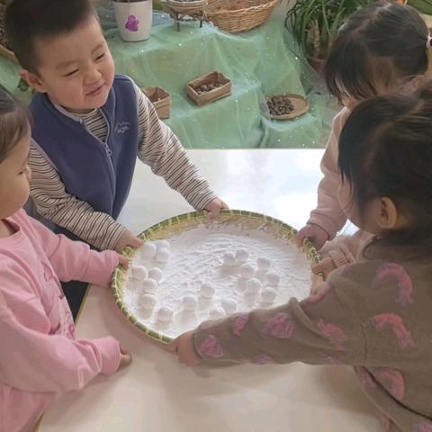 欢乐闹元宵，成长乐不停🌱