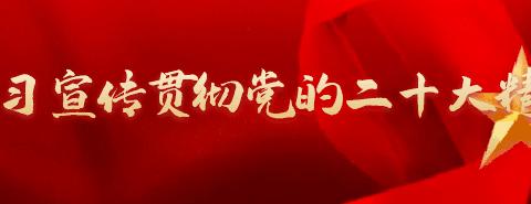 “弘扬建党精神，赓续红色血脉”——鄂温克旗第二实验小学主题党建、团建活动