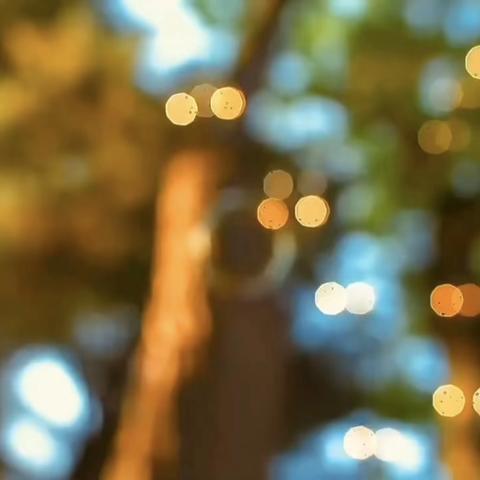 毕业快乐！ 遇见最好的中雅！ 遇见最好的2104班！ 遇见最好的我们！