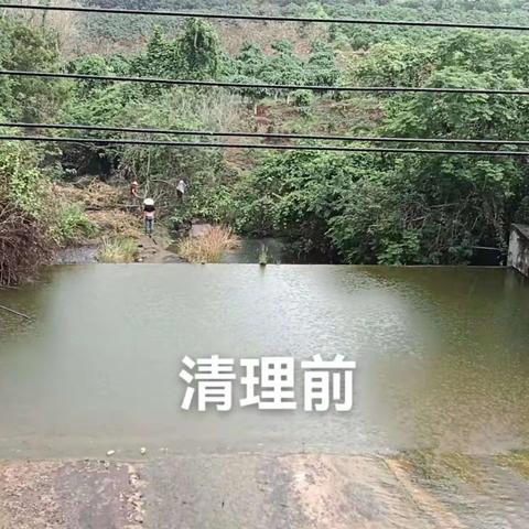 西南水利管理所田仔水库立行立改，田仔水库全部管理人员针对溢洪道杂草灌木清除整改，保障水库排洪安全。