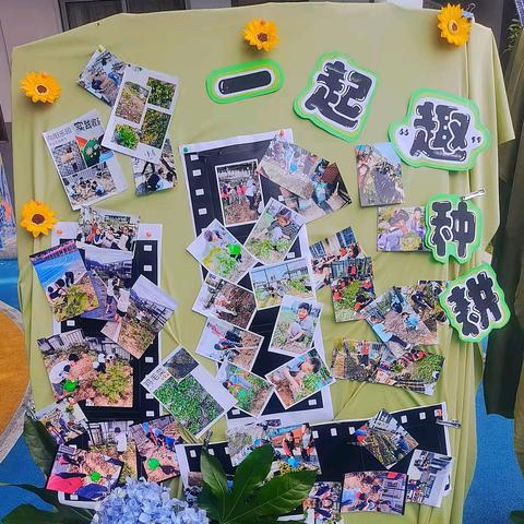 绿野寻梦 农场绽放 向阳坡农场蔬菜生长记 ﻿ 乐成二小 三（1）班