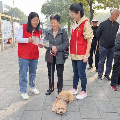 “宠物不扰邻  文明伴你行”杜甫路街道园丁街社区开展文明养宠宣传活动