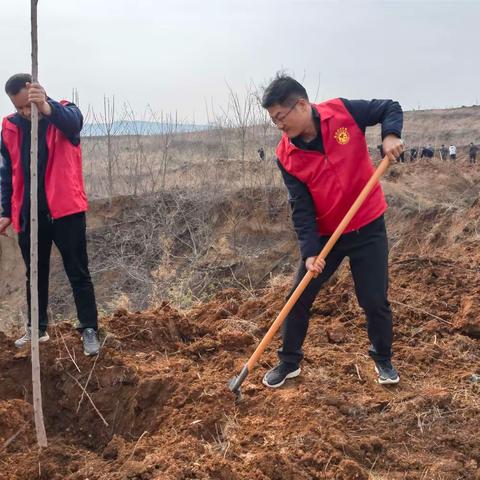 【仓头镇】义务植树添新绿 生态宜居促振兴