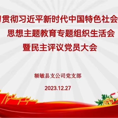 额敏支公司党支部开展《学习贯彻习近平新时代中国特色社会主义思想主题教育专题组织生活会暨民主评议党员大会》