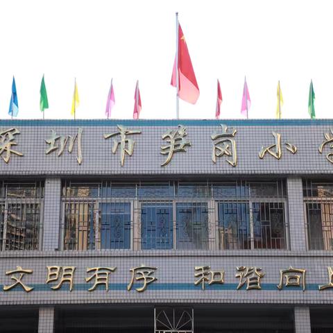 深圳市笋岗小学-一至三年级学生校外社会实践活动！