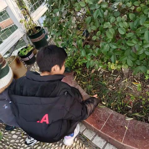 科学小博士，启程新未来