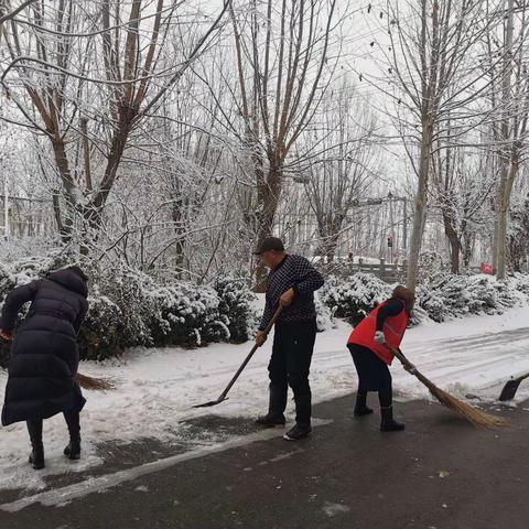 瑞雪迎冬来，扫雪暖人心，高官寨残联在行动