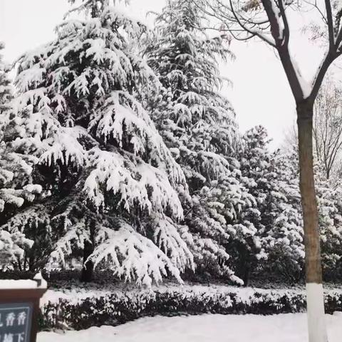雪拥护驾山 趣赏浸童心——探究护驾山项目式学习