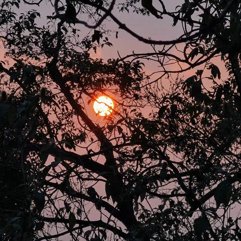 中国五星级观鸟圣地——百花岭(三）六号塘