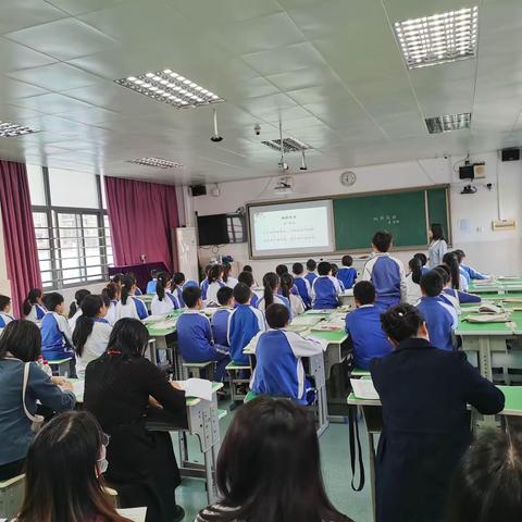 寒山钟声千古，美亦永垂不朽——记宝龙科技城实验学校小学语文科组教研活动